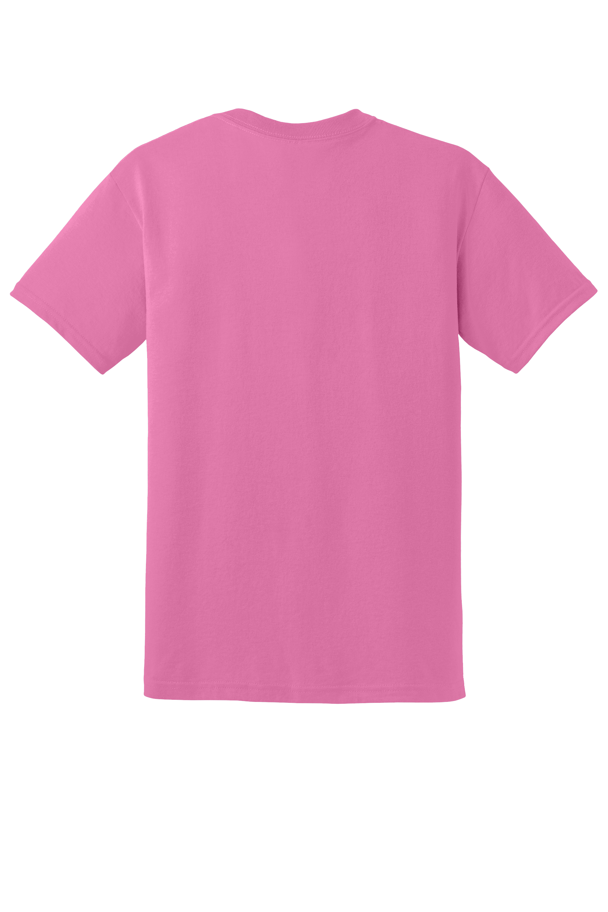 Custom Embroidery Gildan DryBlend 50 Cotton/50 Poly T-Shirt 8000