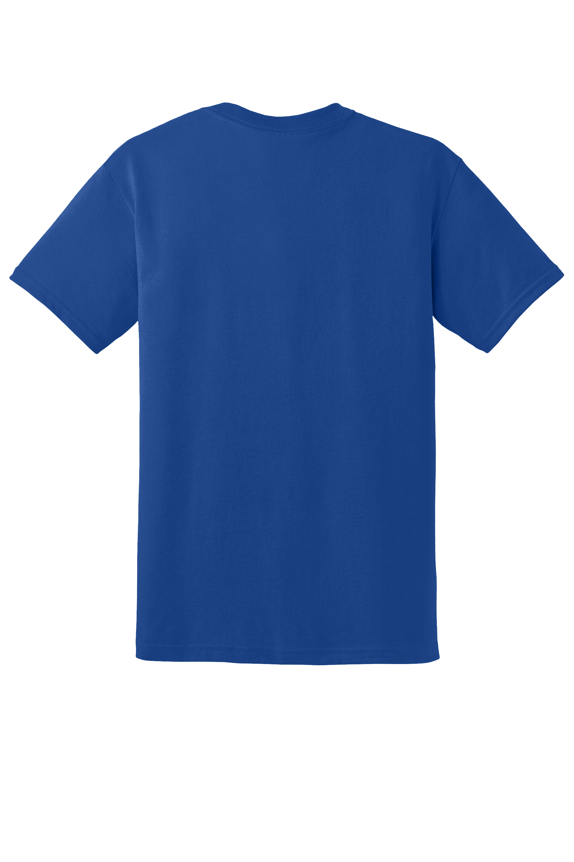 Custom Embroidery Gildan DryBlend 50 Cotton/50 Poly T-Shirt 8000