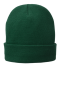 Custom DTF Port Authority Fleece-Lined Knit Cap CP90L